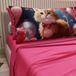 PETTI Artigiani Italiani - Beddengoed dieren met katten van katoen met kussenslopen in digitale print, beddengoed voor Frans bed, Frans bed, fuchsia, 100% Made in Italy