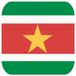Bellatio Decorations Bierviltjes Suriname - 45x stuks - vierkant - landen thema - 9x9 cm