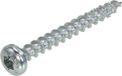 Dynaplus Unischroef Verzinkt Cilinderkop Voldraad Torx TX25 5.0X25
