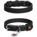 Icecat Halsband Classic Zwart XS