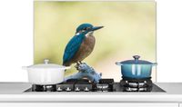 KitchenYeah Spatscherm keuken 80x55 cm - IJsvogel - Aluminium