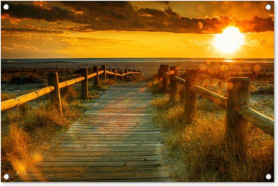 GreatGardenPosters Tuinposter Buiten Zon Strand Duin Horizon Gras Pad Oranje 90x60 cm - PVC - Rechthoek