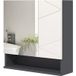 Armoire murale de salle de bain avec miroir et étagères réglables 55x17x55 cm gris