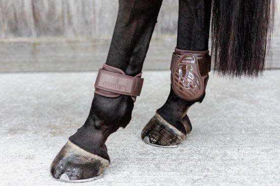 Kentucky Horsewear Fetlock Boots - Bruin - Maat M