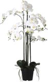 Mica Decorations Phalaenopsis Kunstplant - H97 cm - Crème