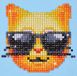 Diamond Dotz Kool Kat Diamond Painting 797 Dotz 10x10 cm