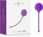 INTENSE HEALTH and FUN Intense Kisha Fit One Kegel Violet
