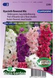 Merkloos / Sans marque Sluis Garden Ridderspoor Hyacinth bloemige Mix