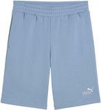 Puma Ess 2 Color No. 1 Logo Heren Short Blauw - Maat 2XL