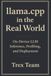 llama.cpp Icecat llama.cpp in the Real World: On‑Device LLM Inference, Profiling, and Deployment