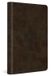 ESV Large Print Value Thinline Bible