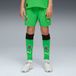 PUMA Sportbroek 'Borussia Mönchengladbach 25/26' groen / zwart / wit
