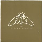 PIAS Nederland Cicada Rhythm - Cicada Rhythm
