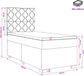 vidaXL Boxspringbed met matras Donkergrijs 100 x 200 cm Fluweel