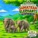 Wildlife Sumatran Elephants Coloring & Activity Book for Kids Ages 6-16