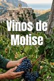 Vinos de Molise