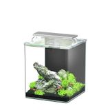 Smulders Aquatlantis kubus curve essential 20l (led biof)