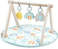 Ingenuity Baby activity gym sun valley