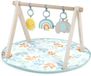 Ingenuity Baby activity gym sun valley