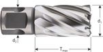 Rotec HSS-XE kernboor, 'Silver Line', Weldon 19, ø17x30