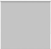 vidaXL Rolgordijn verduisterend 165x150 cm Gris clair