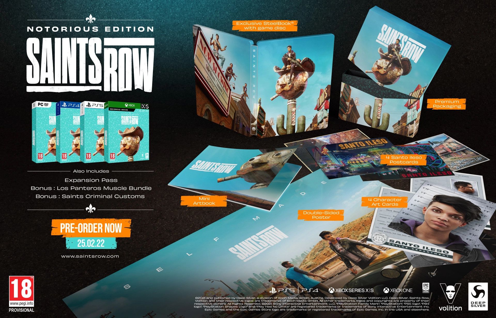 Deep Silver Saints Row - Notorious Edition