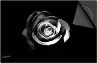 Dietrix Inductie Beschermer - 60x60 cm - Zwart - Roos