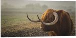 Merkloos / Sans marque Vlag - Schotse Hooglander in Wei - 100x50 cm - Polyester