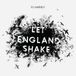 Universal Music Let England Shake Lp