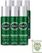 Brut 6 x Déodorant Spray Original - 200ml