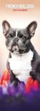 Franse Bulldog 2027 Slim Calendar