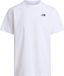 The North Face Evolution Simple Dome Casual T-shirt heren Wit XS