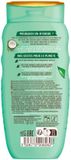 Lovea Kokos en Groene Thee Shampoo - 6 x 250 ml - Voordeelverpakking