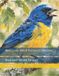 Bird Cross Stitch Pattern Collection: Blue-and-Yellow Tanager