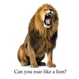 Can Libri GmbH Can you roar like a lion? Paperback