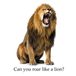 Can Libri GmbH Can you roar like a lion? Paperback