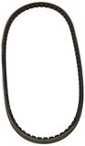 DAYCO 10A0800C riem