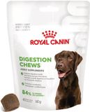 Royal Canin Supplement Digestion 6 x 160 gr