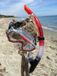 Schildkröt® Donic Schildkröt Snorkelset Fiji Unisex Rood 2-delig
