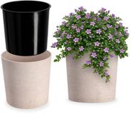 KADAX Bloempot met houtspaanders, elegante bloempot met inzet, pot, tuinkom, bloembak, bloempotbescherming voor woonkamer, kantoor, ⌀ 30 cm, crème