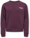 ONLY Kids Only Camine Sweater Junior - Maat 122/128