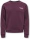 ONLY Kids Only Camine Sweater Junior - Maat 122/128