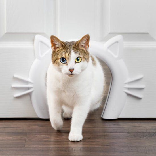 PetSafe Cat Corridor Wit Kunststof Hout