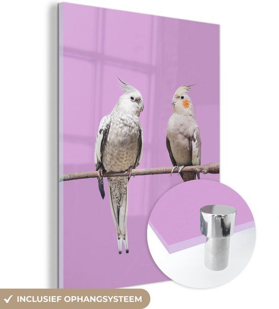 MuchoWow® Glass Painting 90x120 cm - Acrylic Glass Painting - Parrot - Branch - Pink - Photo on Glass - Paintings