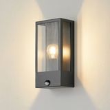 Lindby - Wandlampen buiten - 1licht - Roestvrij staal, glas - H: 33 cm - E27 - zwart, transparant