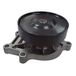 MAGNETI MARELLI Wasserpumpe 352316171308