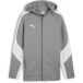 Puma Hooded trainingsjack Puma TeamEvostripe