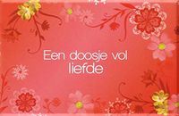 Een doosje vol liefde (kleur): 144 rolletjes met liefdesteksten