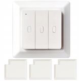 RTX 2.4GHz RF Afstandsbediening draadloos - 3 Kanaals Mechanische Knop