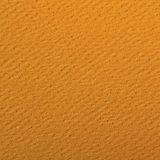 Clairefontaine 90872C Setje Etival Color Papier - 5 Vellen Zonnegeel Tekenpapier met Korrel - A4 21x29,7 cm 160g